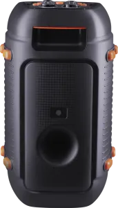 Defender - Prenosni zvočnik Boomer 25