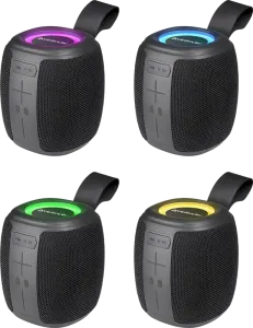 Defender - Prenosni zvočnik Enjoy S550